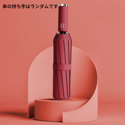 Xiaomi Ten-Bone 折りたたみ式全自動雨天決行傘ビニール日焼け防止 UV 保護特大傘フェイスパラソル